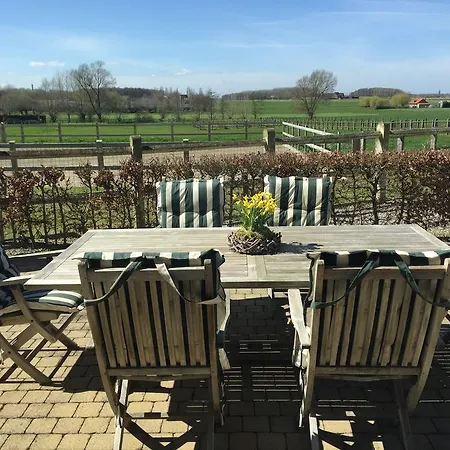 Horsehotel Zonnebeke
